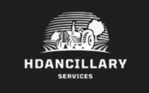 monu developer project hdancillary website