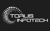 monu developer project torusinfortch website